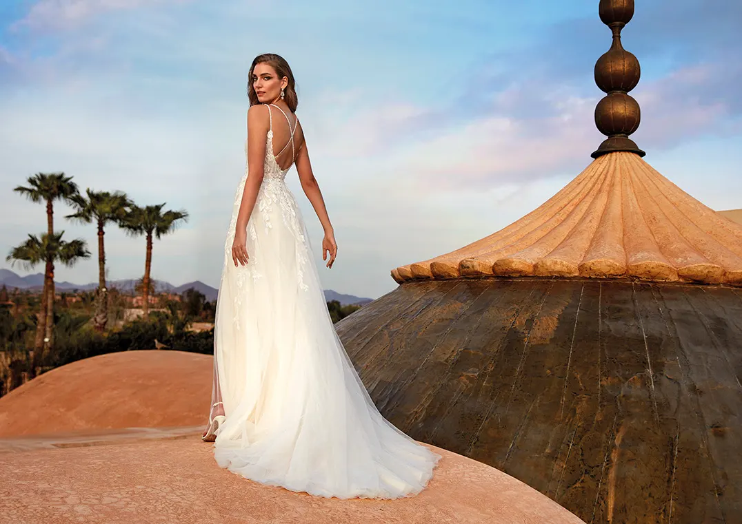 Brautkleid Kansai von Pronovias – Rückenansicht