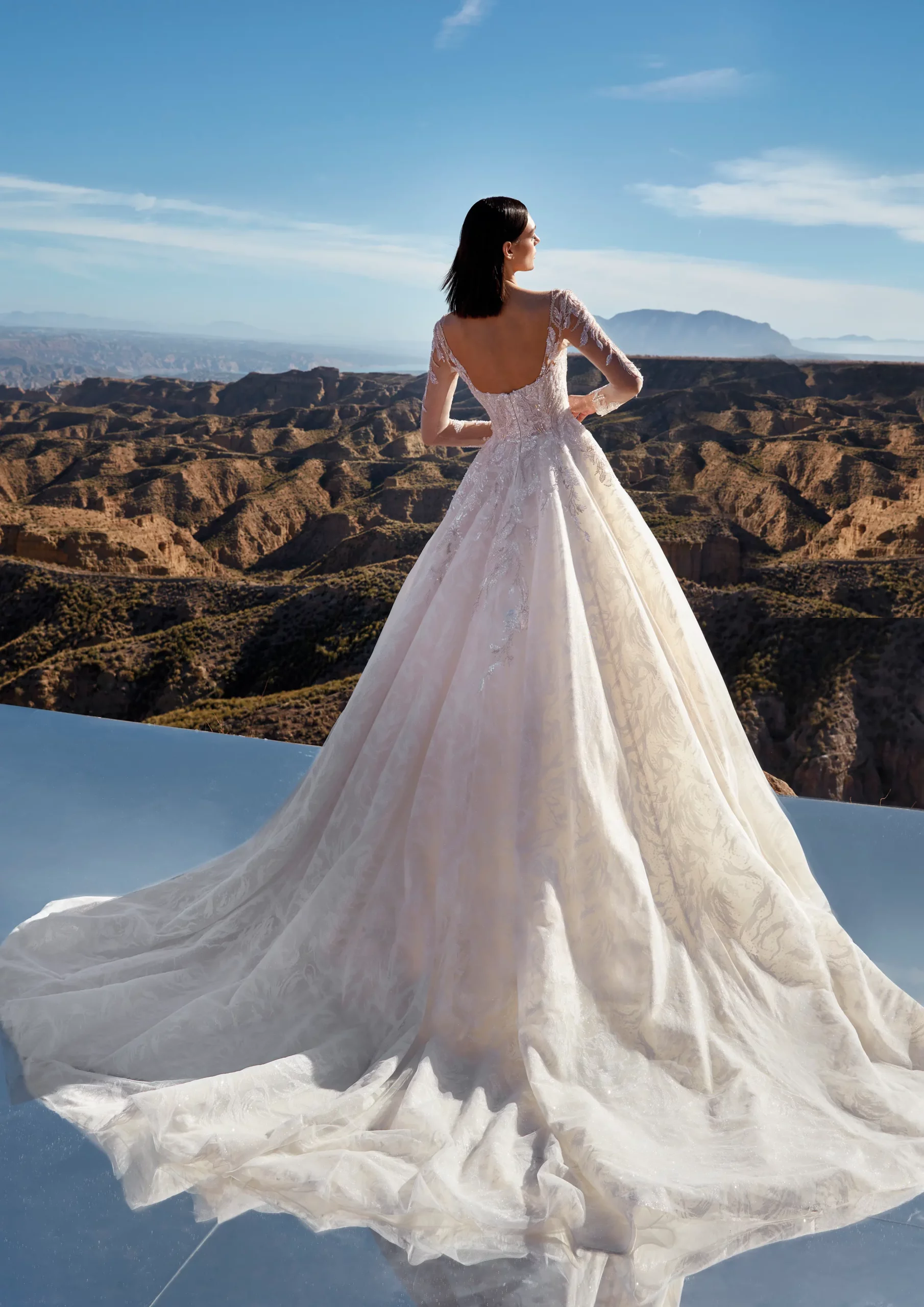 Brautkleid Platinum von Pronovias – Rückenansicht