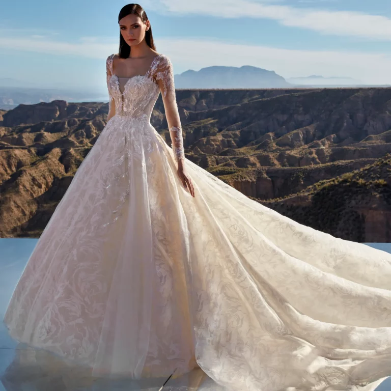 Brautkleid Platinum von Pronovias – Vorschau