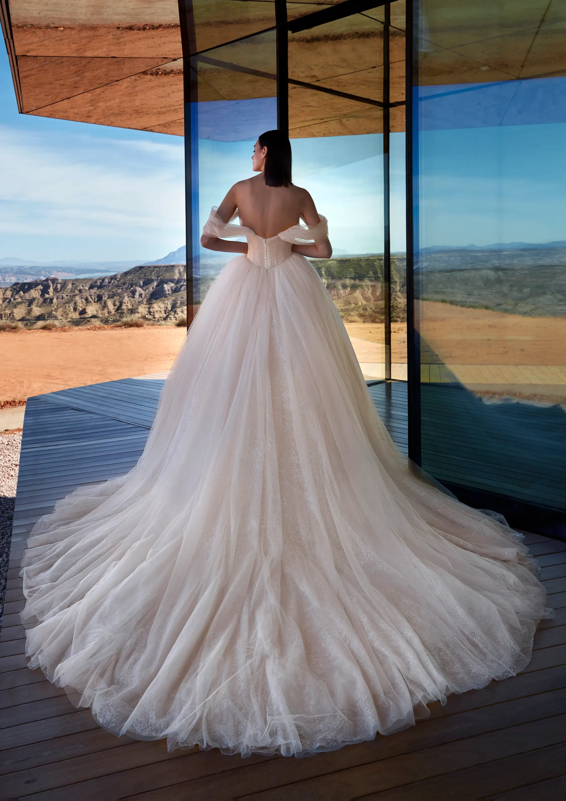 Brautkleid Stardust von Pronovias – Rückenansicht