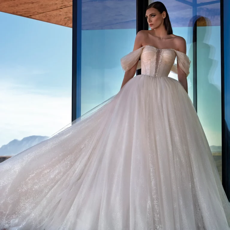 Brautkleid Stardust von Pronovias – Vorschau