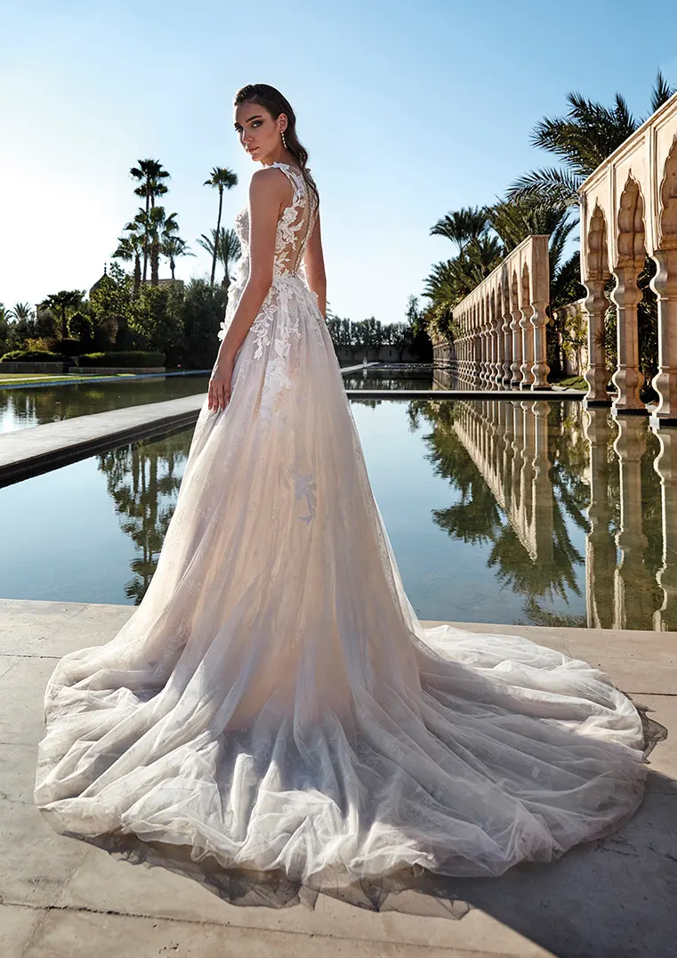 Brautkleid Visayas von Pronovias – Rückenansicht