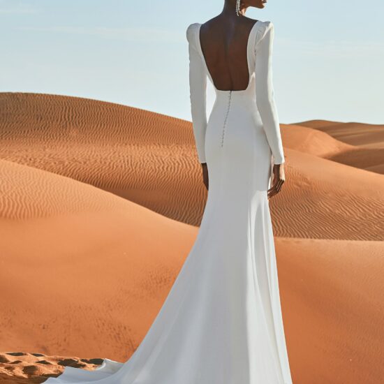 Pronovias - Antelope Brautkleid Rückansicht 1