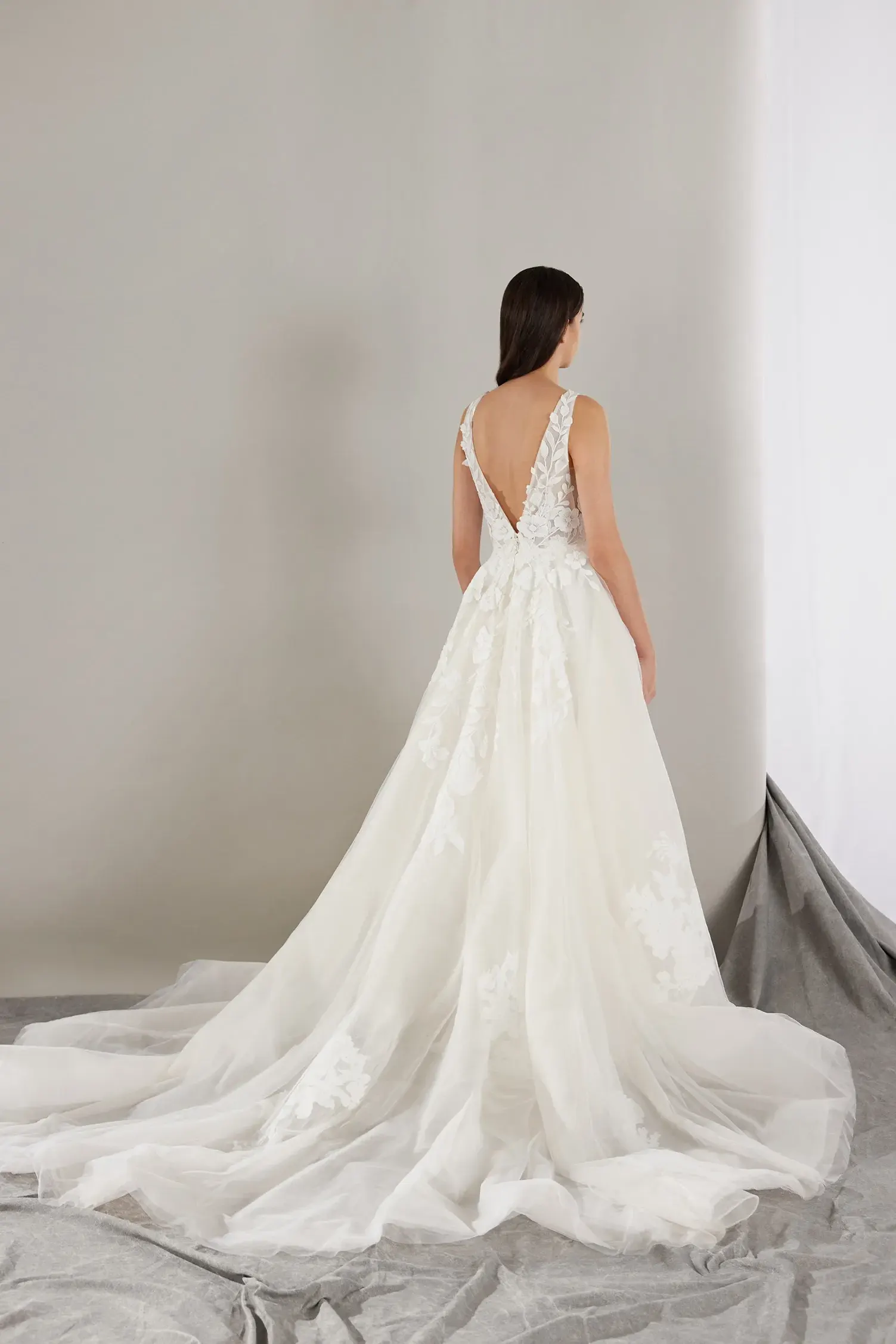 Brautkleid West von Pronovias – Rückenansicht