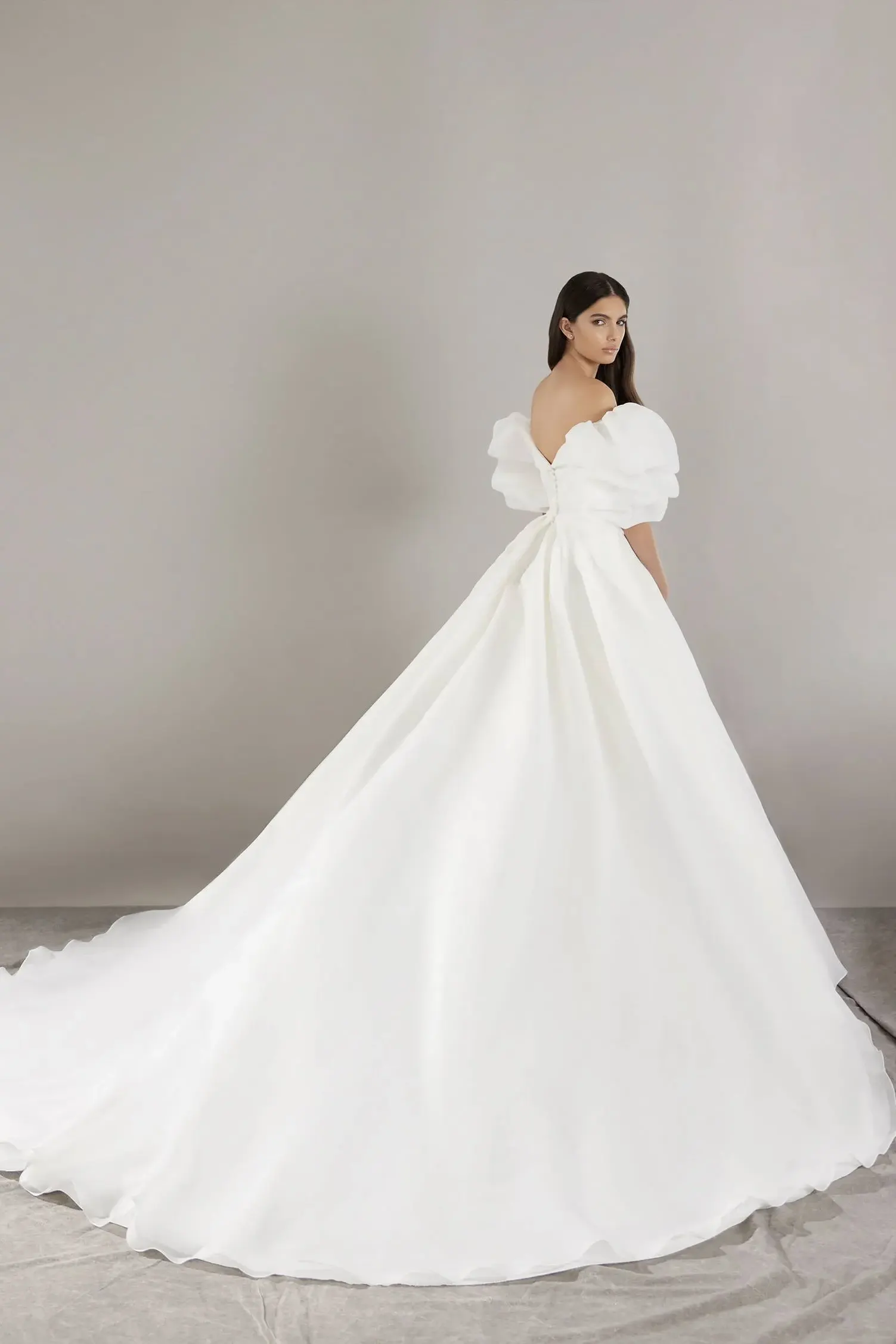 Brautkleid Emer von Pronovias – Rückenansicht