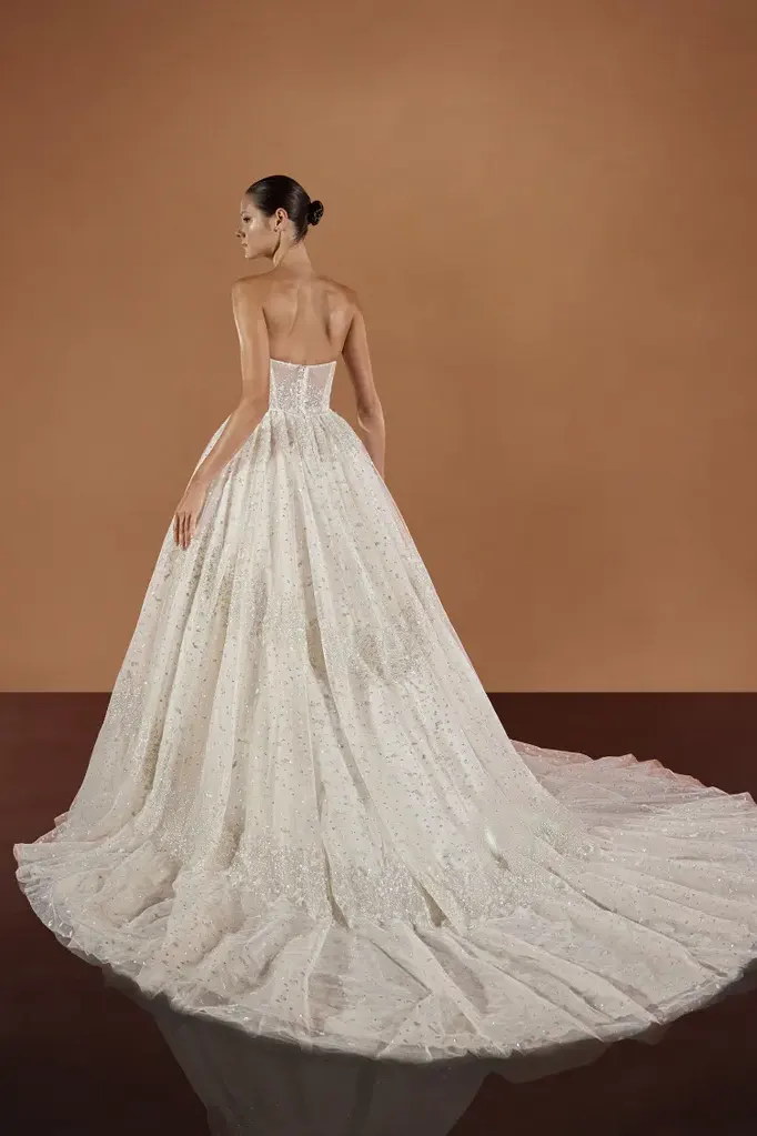 Brautkleid Taj von Pronovias – Rückenansicht