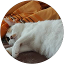 Schnecke 33 (Schnecke) profile picture